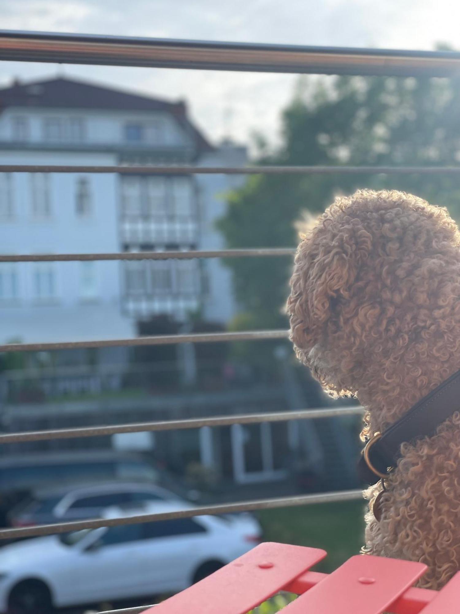 Sonniges Hinterhaus Og Innenstadt Osnabrück Buitenkant foto