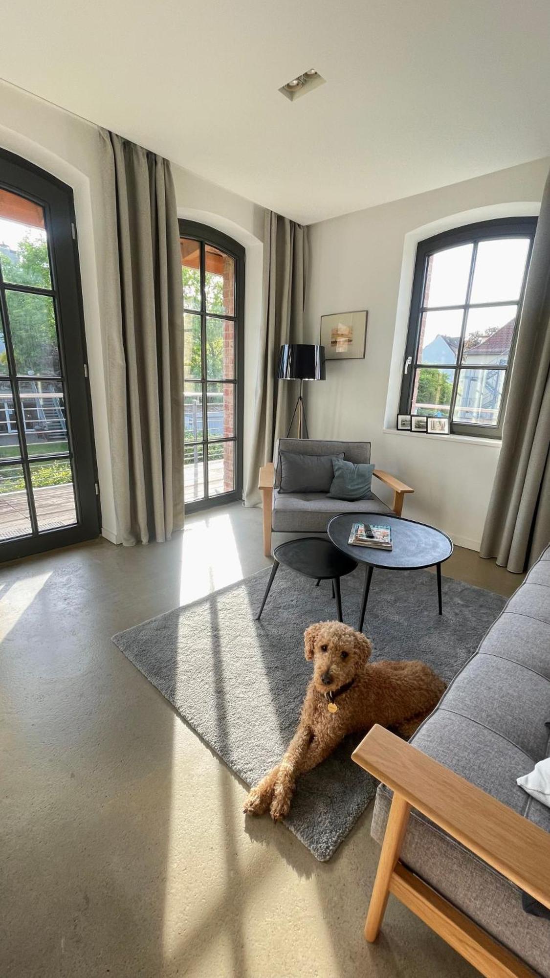 Sonniges Hinterhaus Og Innenstadt Osnabrück Buitenkant foto